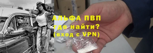 гидра Белокуриха