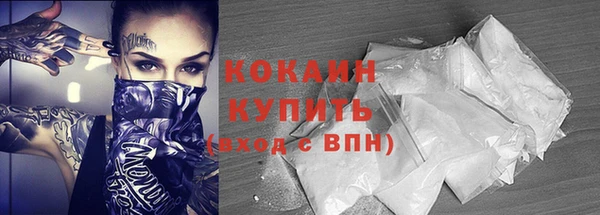 гидра Белокуриха