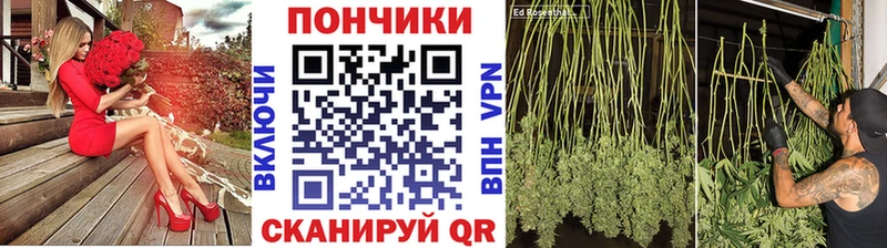 Шишки марихуана план  MEGA tor  Куйбышев 